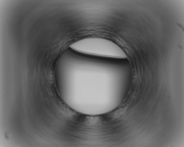 X0000096710469200802051041