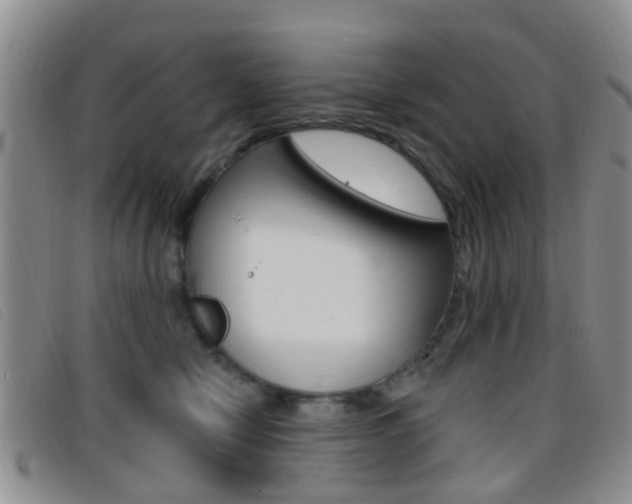 X0000096710470200802051041