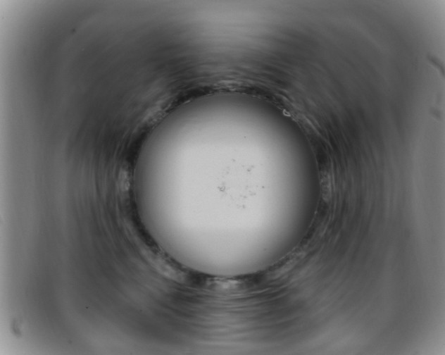X0000096710472200802051041