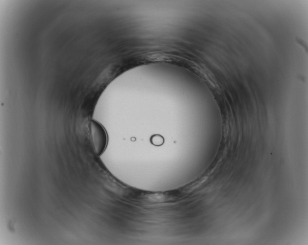 X0000096710473200802051041