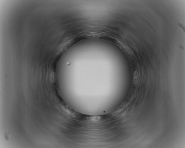 X0000096710474200802051041