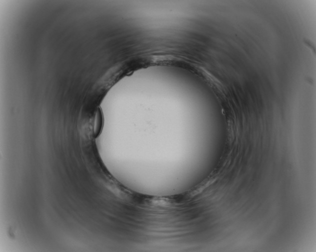 X0000096710475200802051041