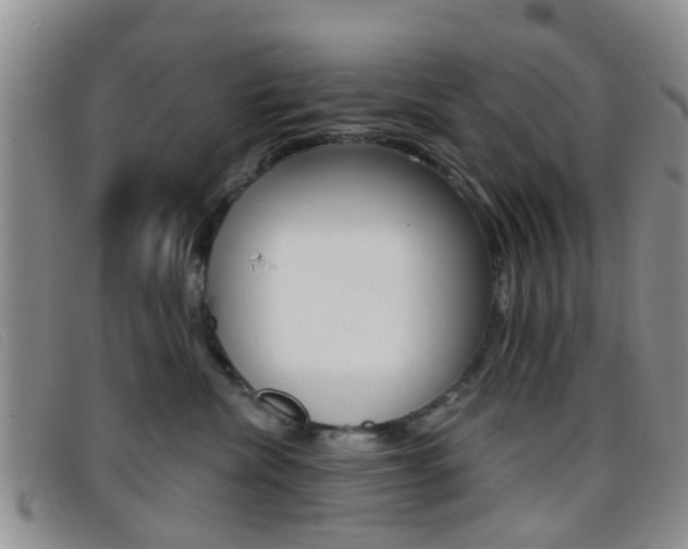 X0000096710476200802051041