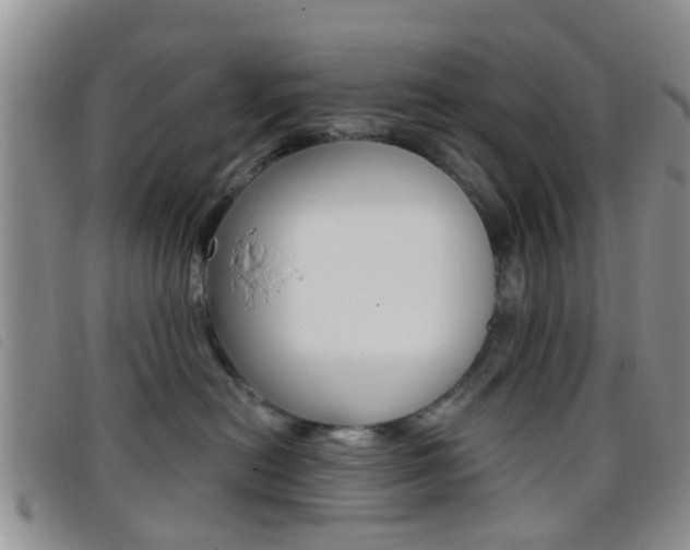 X0000096710478200802051041