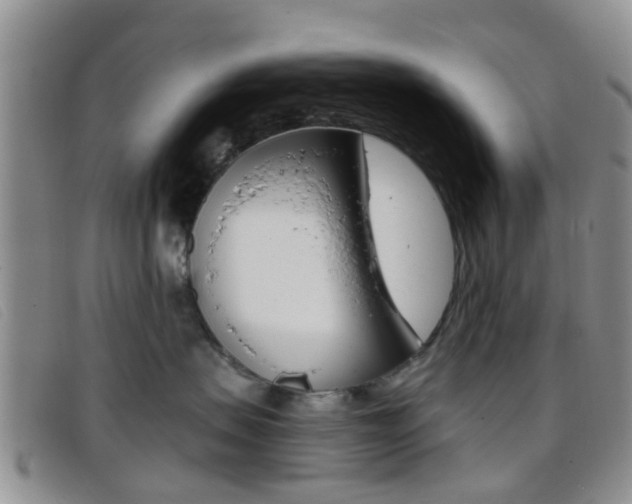 X0000096710479200802051041