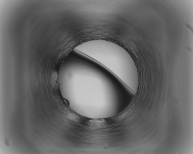 X0000096710480200802051041