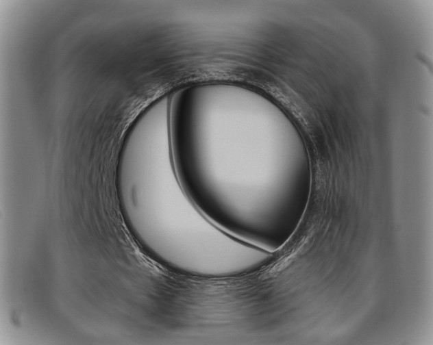 X0000096710481200802051041