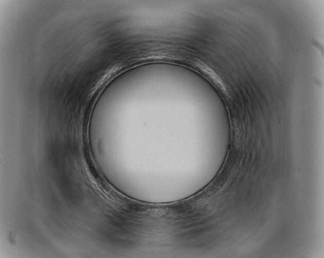 X0000096710482200802051041