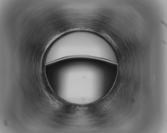 X0000096710484200802051041