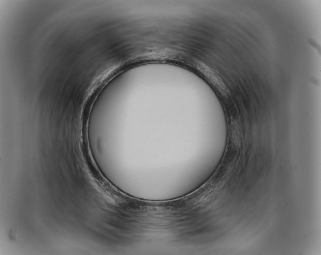 X0000096710486200802051041