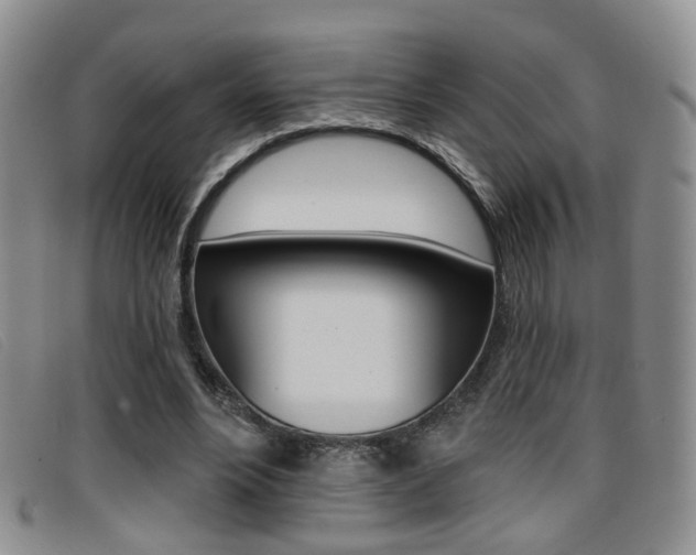 X0000096710488200802051041