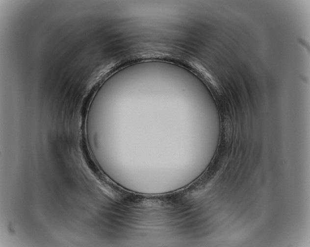X0000096710490200802051041
