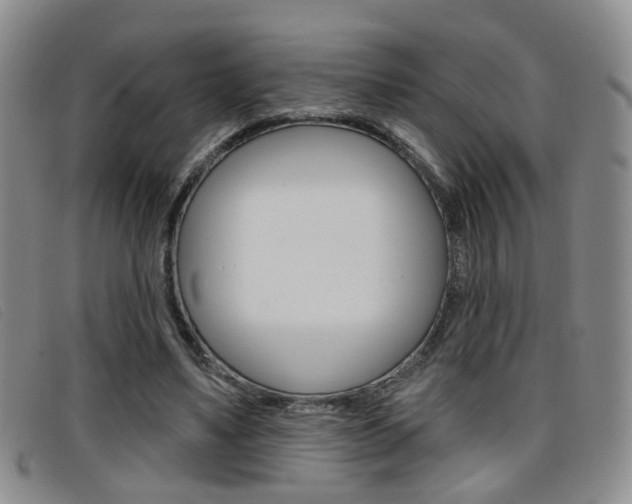 X0000096710491200802051041