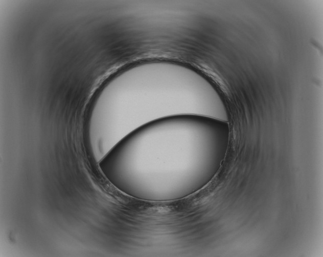 X0000096710492200802051041