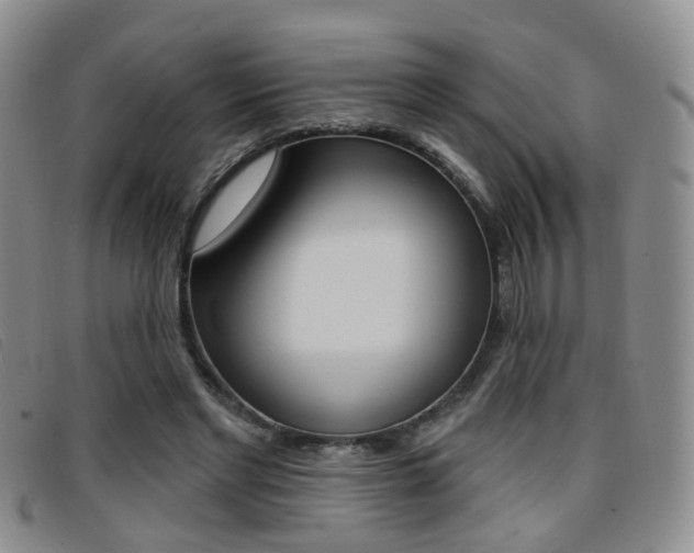 X0000096710493200802051041