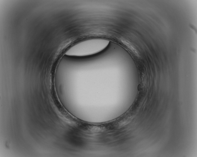 X0000096710494200802051041