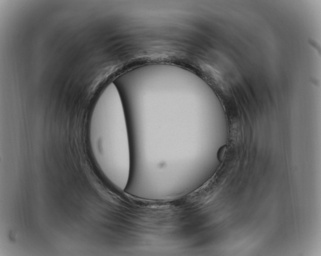 X0000096710495200802051041