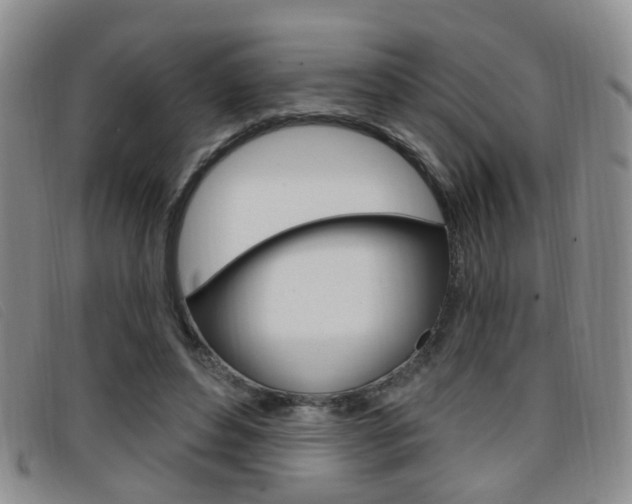 X0000096710496200802051041