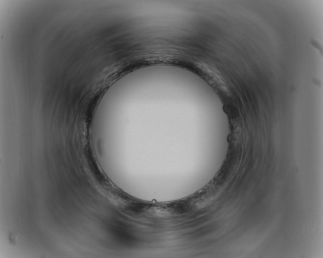 X0000096710498200802051041