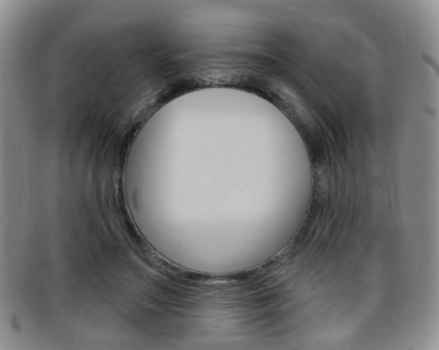 X0000096710499200802051041