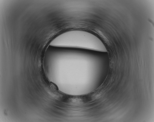 X0000096710500200802051041