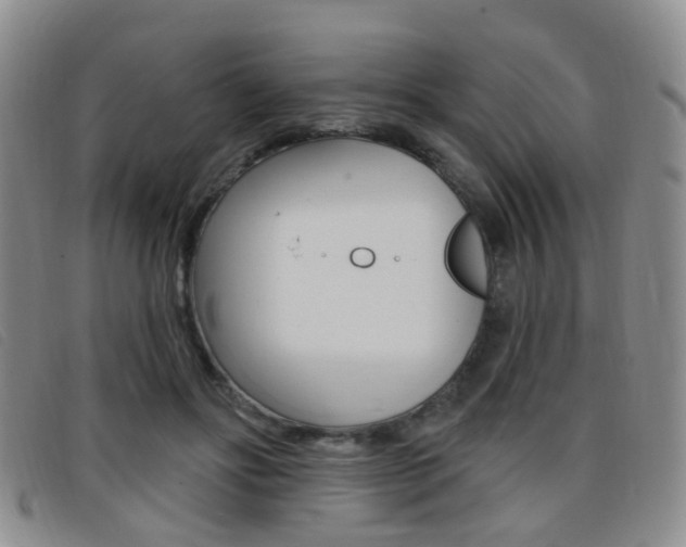 X0000096710502200802051040