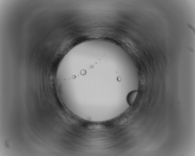 X0000096710503200802051040