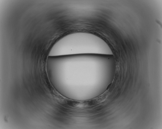 X0000096710504200802051040