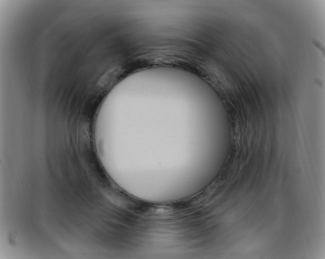 X0000096710506200802051040
