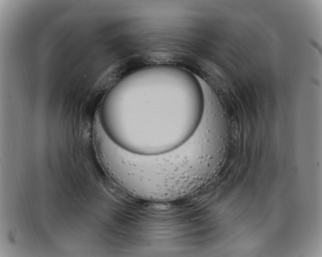 X0000096710507200802051040