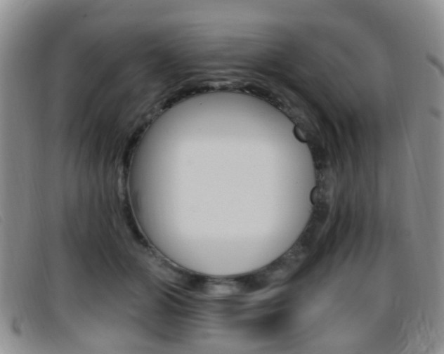 X0000096710510200802051040