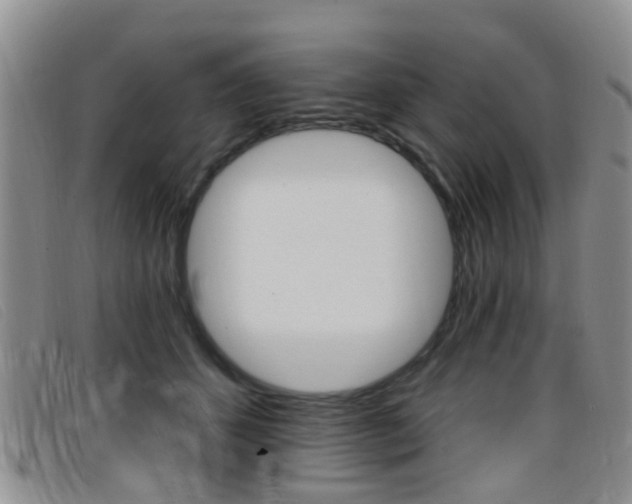 X0000096710512200802051040