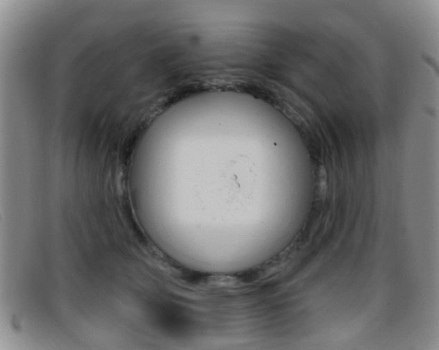 X0000096710514200802051040