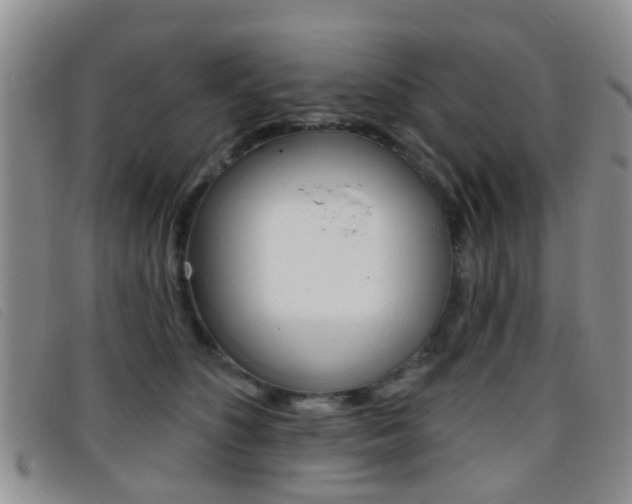 X0000096710516200802051040