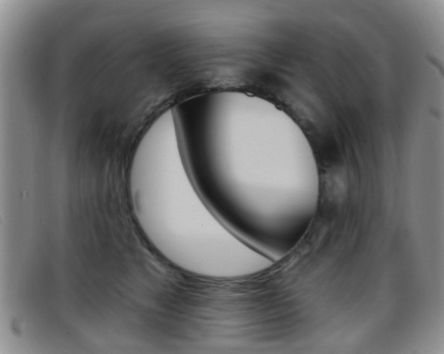 X0000096710517200802051040