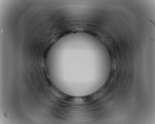 X0000096710518200802051040