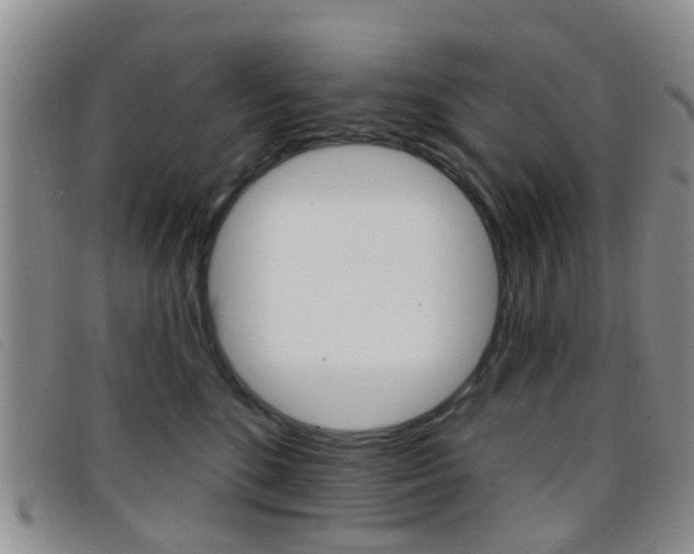 X0000096710520200802051040