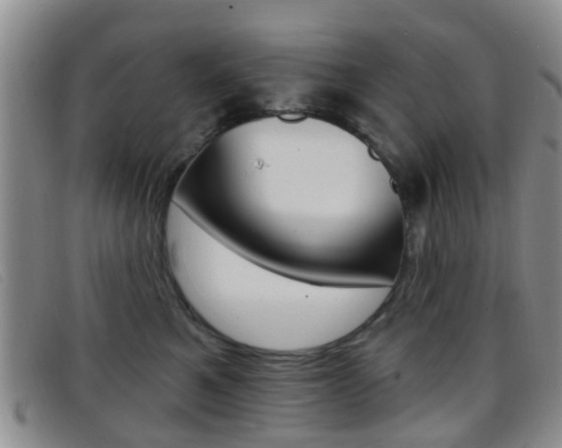 X0000096710521200802051040