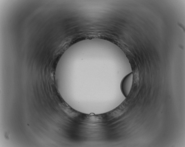 X0000096710522200802051040