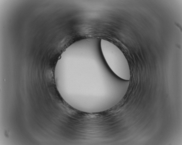 X0000096710523200802051040