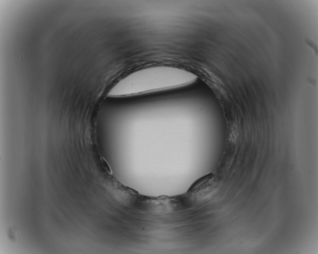 X0000096710524200802051040