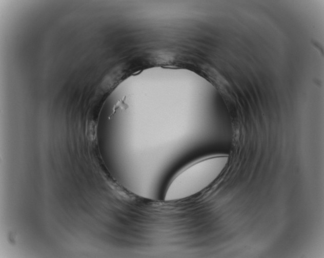 X0000096710525200802051040