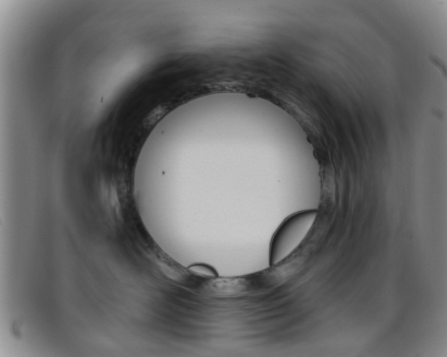 X0000096710526200802051040