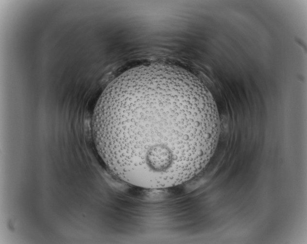 X0000096710527200802051040