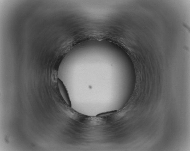 X0000096710528200802051040