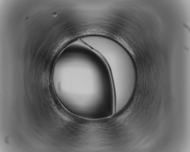 X0000096710530200802051039