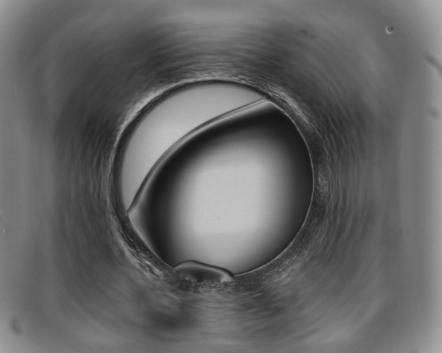 X0000096710532200802051039
