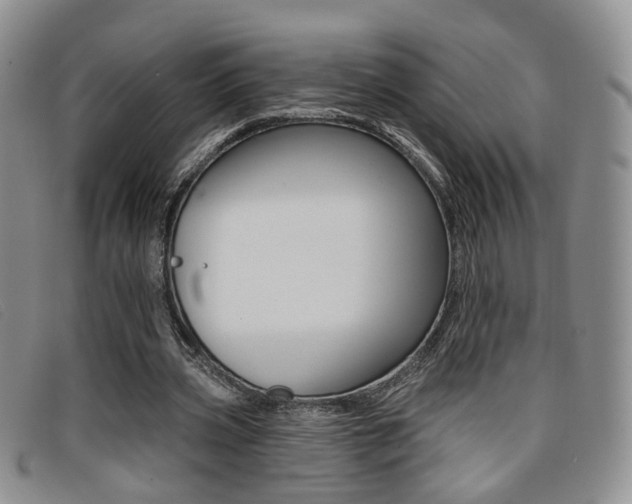 X0000096710533200802051039