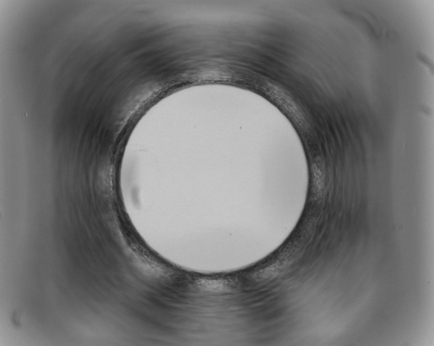 X0000096710534200802051039