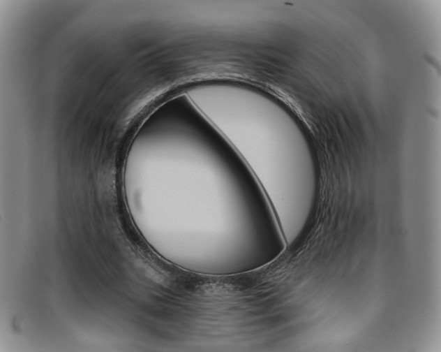 X0000096710535200802051039